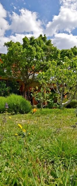 Apartments Mari Seline