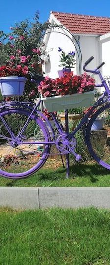 House Marie's Lavander Dream Raslina