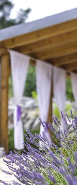 House Marie's Lavander Dream Raslina