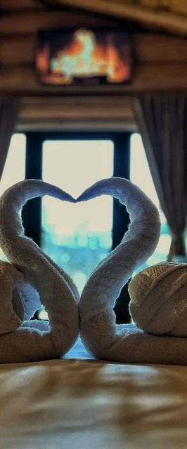 EastWood Cabins Moisei