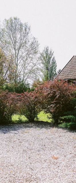 Álomzug Vendégház Szarvas