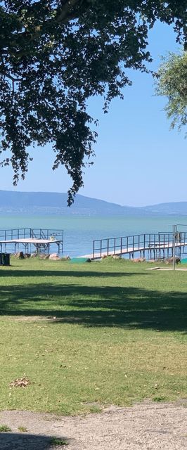 Fenyvesi Kuckó Balatonfenyves