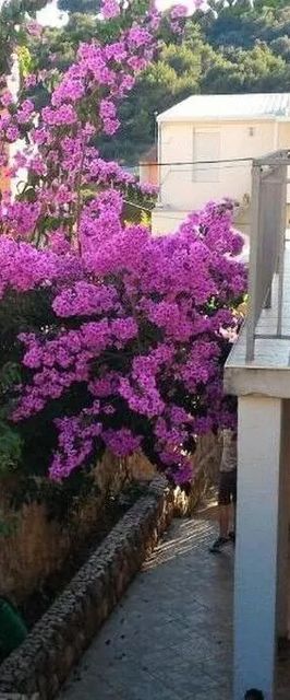 Apartmanok Parkolóhellyel Sibenik - 23791 Šibenik