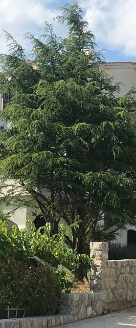 Apartmanok Parkolóhellyel Baska Krk - 23913 Baška