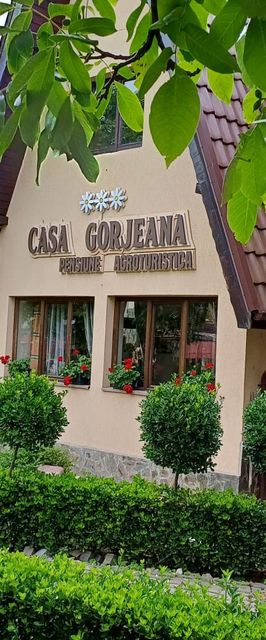 Pensiunea Casa Gorjeana Pestisani