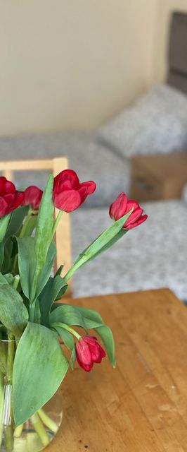 Willa Wiosenna Kołobrzeg