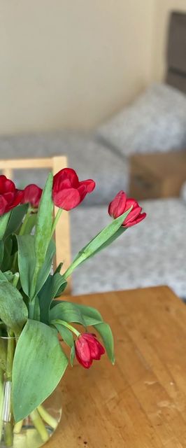 Willa Wiosenna Kołobrzeg