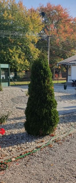 Fagyöngy Apartmanházak Fadd - Dombori