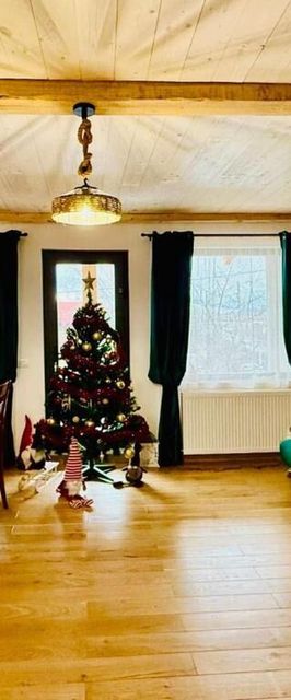 Pensiunea Joy City Stay Zarnesti Montan 