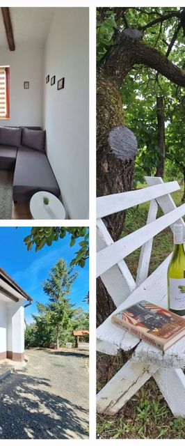 Mi kis lakunk Vendégház Várdomb