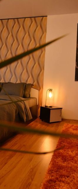 Apartament Park41 Fagaras