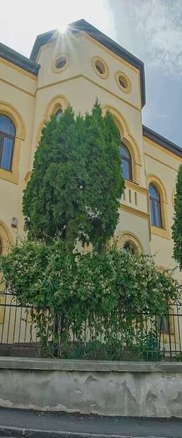 Baiulescu Apartments Brașov