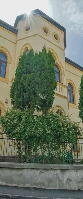 Baiulescu Apartments Brașov