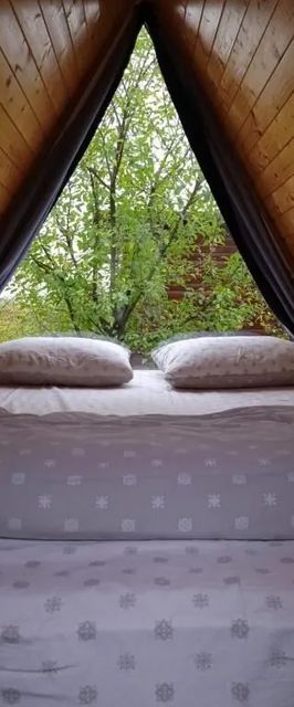 Camping Zen Garden Oradea