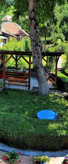  Pensiunea Casa Vânătorului Sighișoara