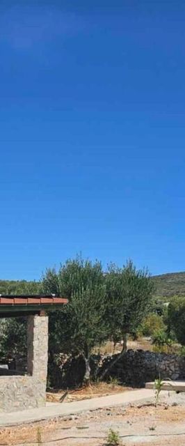 House Sunshine Mrljane