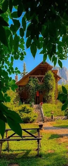 Cabana Mia Vălișoara