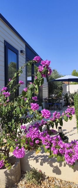 Mobile House Alba Bibinje