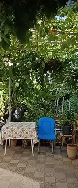 Apartment Nina Barbat