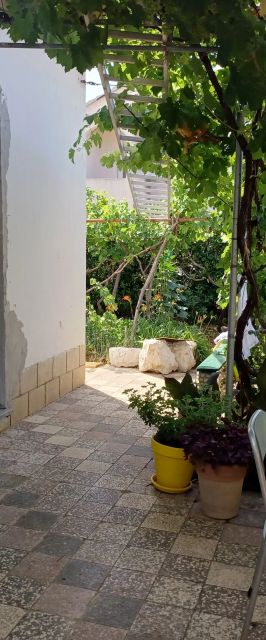 Apartment Nina Barbat