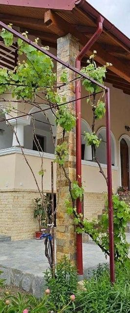 Casa Hera Călimănești