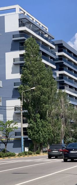 GooApartments Seven Mamaia