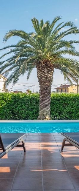 Villa Alberi with pool Savudrija