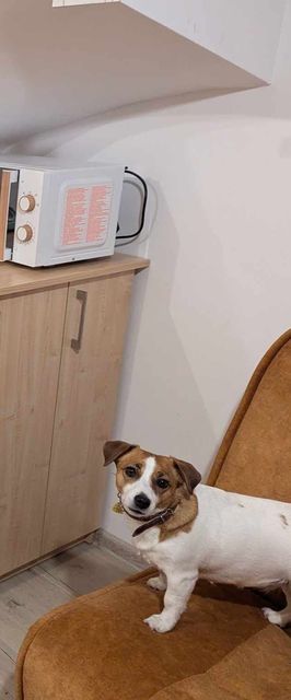 Extra miodowy apartament Sielpia Wielka