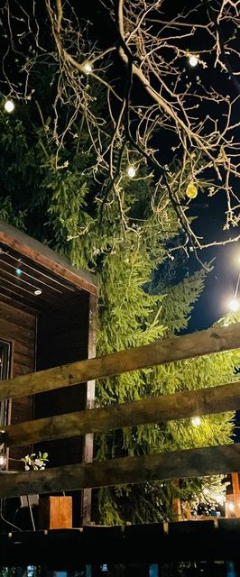 Cabana Owels Nest Borșa