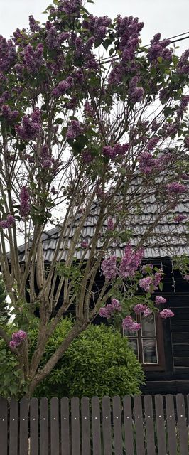 Drevenica Raj Bystrička