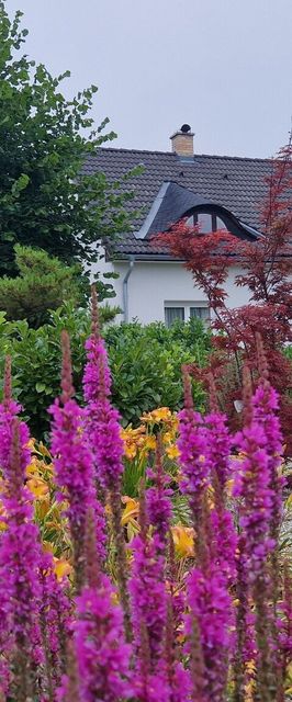 Rubato Vendégház Dudar