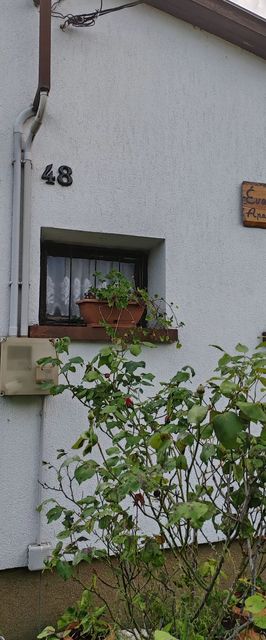 Éva Nyaralóház Csopak