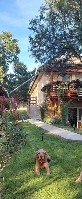 Banya-Tanya Vendégház Nagymaros