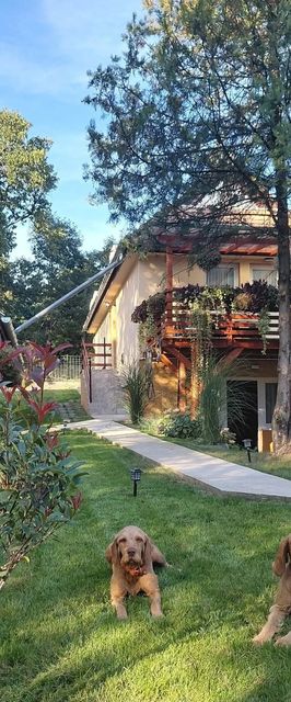 Banya-Tanya Vendégház Nagymaros