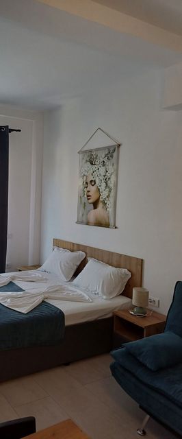 Apartament Serena Baile Felix