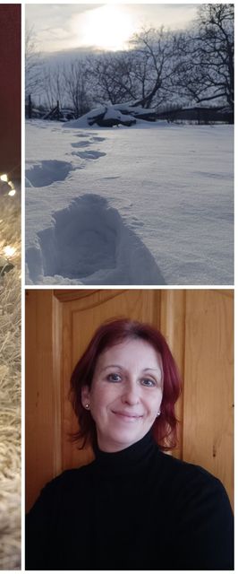 Kicsi Rigó Nyaralóház Lakitelek