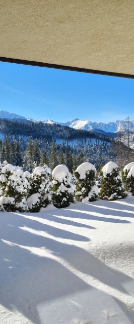 Panorama Tatr Apartament Widokowy z tarasem Zakopane