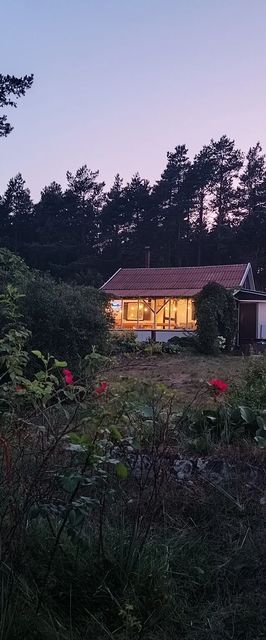 SUPy, Krokodyl & Las Trzebiechowo