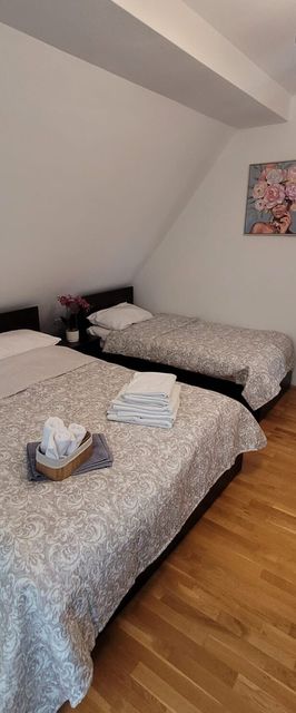 Vila Alex Arieseni Vârtop