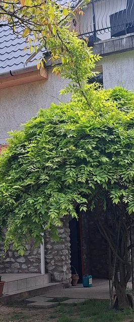 Zazen Apartman Bélapátfalva