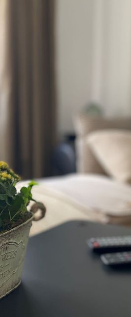 Zöld Ajtó Apartman Szeged