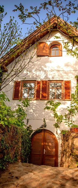 Vadszőlő - Wild Grape Vendégház Badacsonyörs