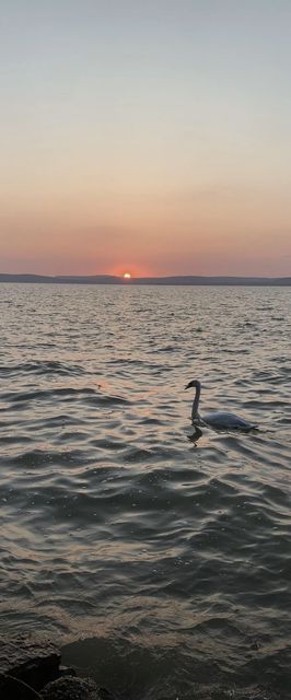 Lakeside Home Apartman Balatonszárszó