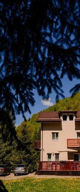 Cabana ZIP Zărnești