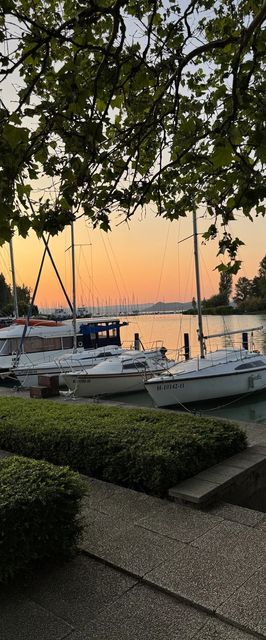 Bunny Apartman Balatonföldvár