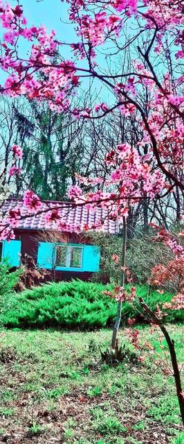 Meredély Kunyhószállás Leányfalu