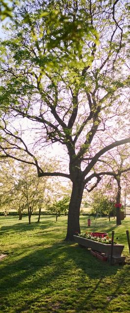 Kőris Tanya Vendégház Hódmezővásárhely
