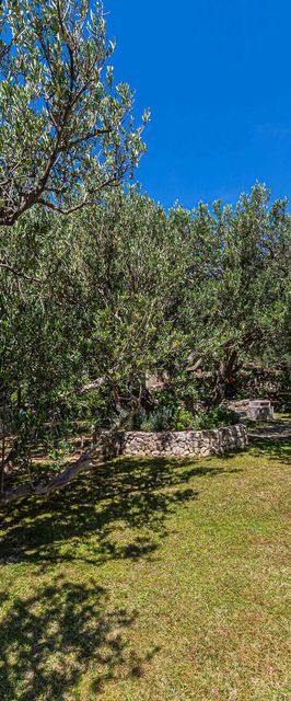 Apartman Makarska - CSC850