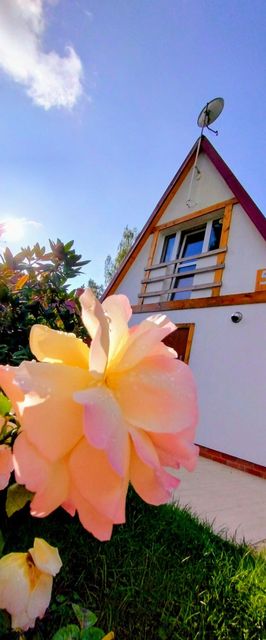 Dom Za zakrętem Rowy