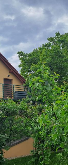 Pihenő Apartman Csókakő